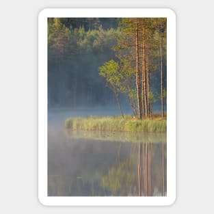 Forest reflecting to small lake at summer morning Sticker